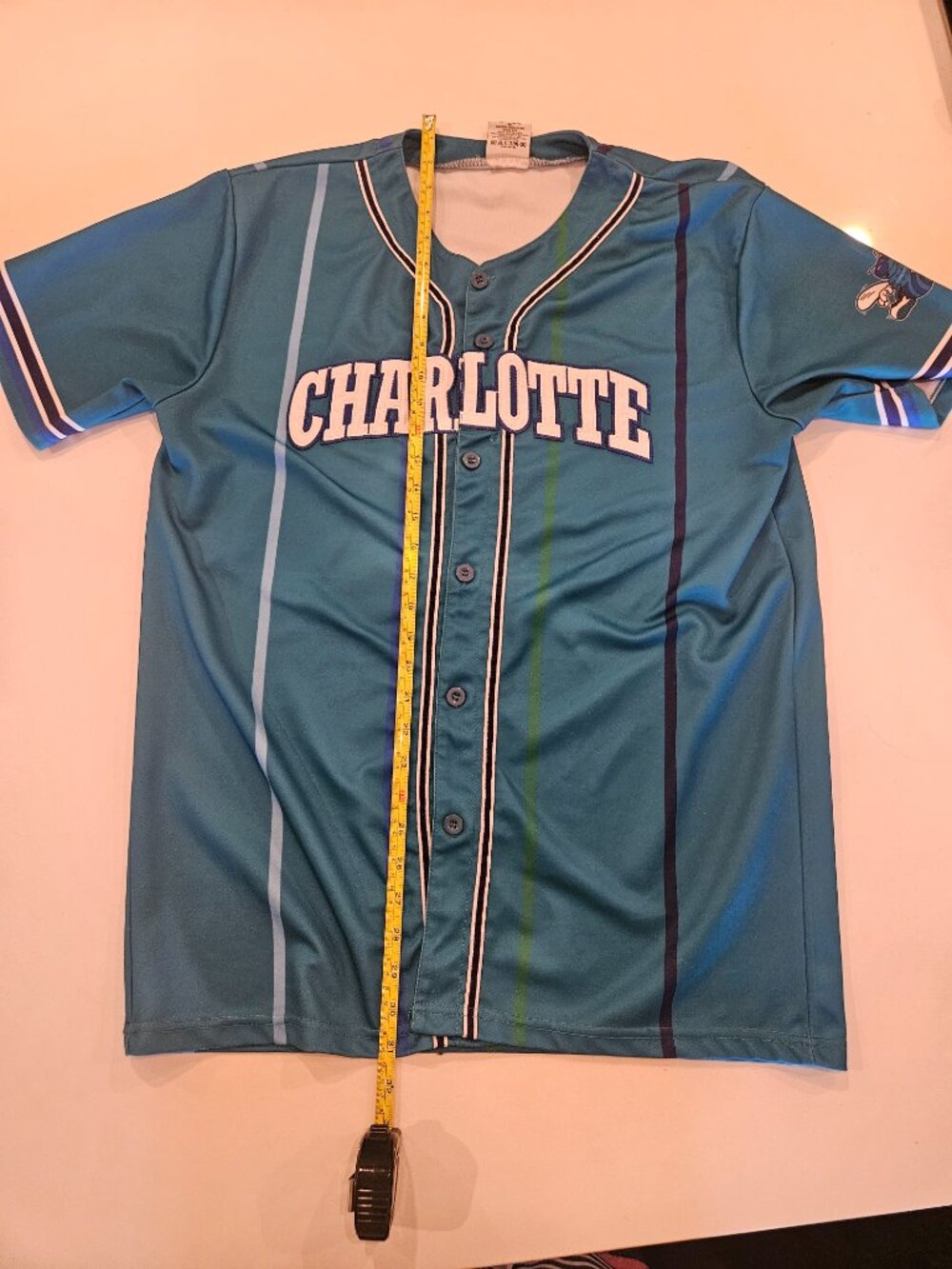 Charlotte Hornets Baseball Jersey - Picture 8 of 10
